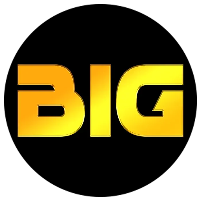BIGHOKI - Pertarungan Seru di Dunia Fighting
